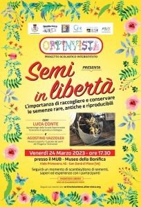Ortinvista semi