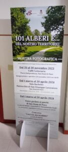 101 alberi